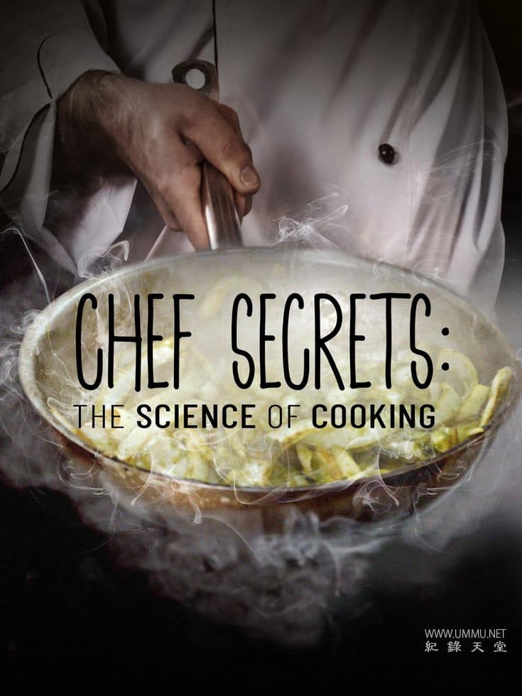 厨师秘诀：烹饪科学 Chef Secrets: The Science of Cooking的海报
