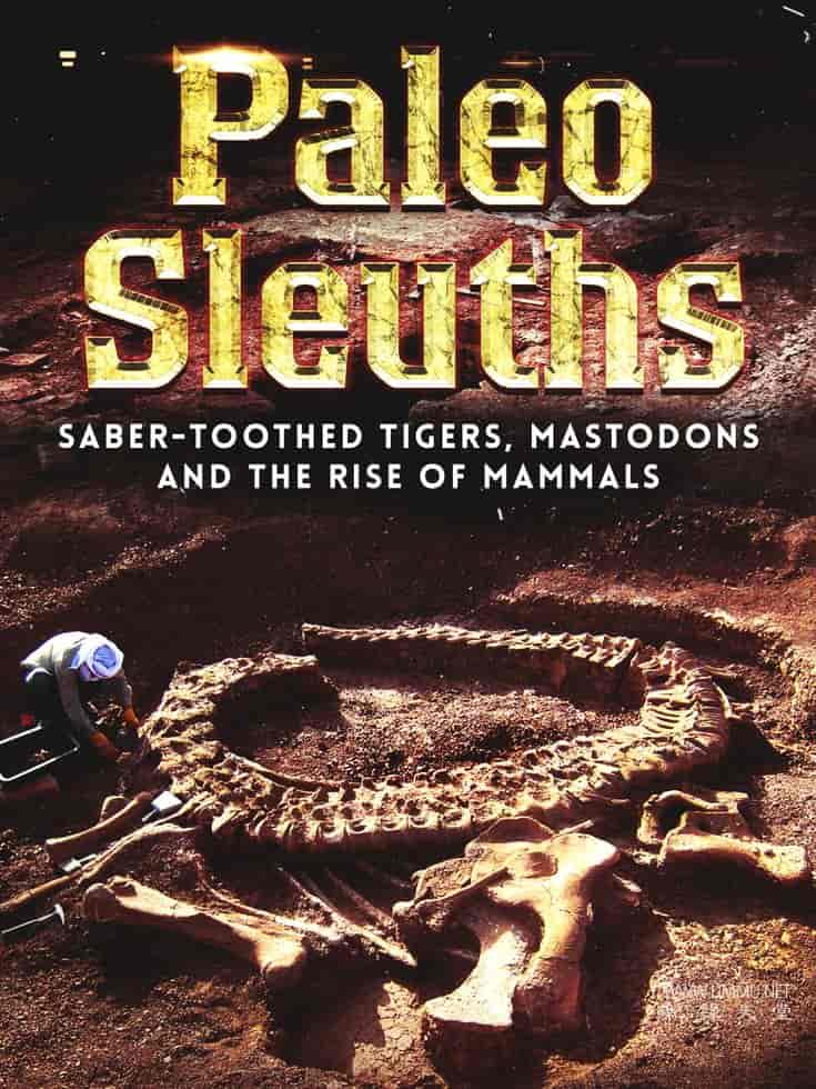 考古侦探：剑齿虎、乳齿象和哺乳动物的崛起 Paleo Sleuths: Saber-Toothed Tigers, Mastodons, and the Rise of Mammals的海报
