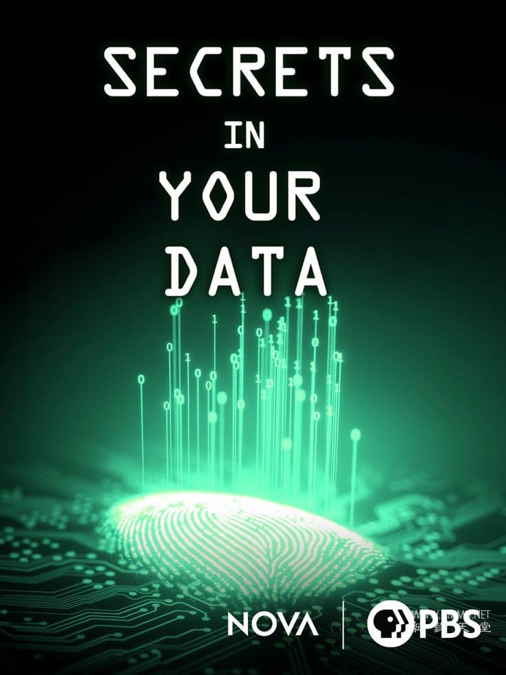 数据中的密钥 Secrets in Your Data的海报