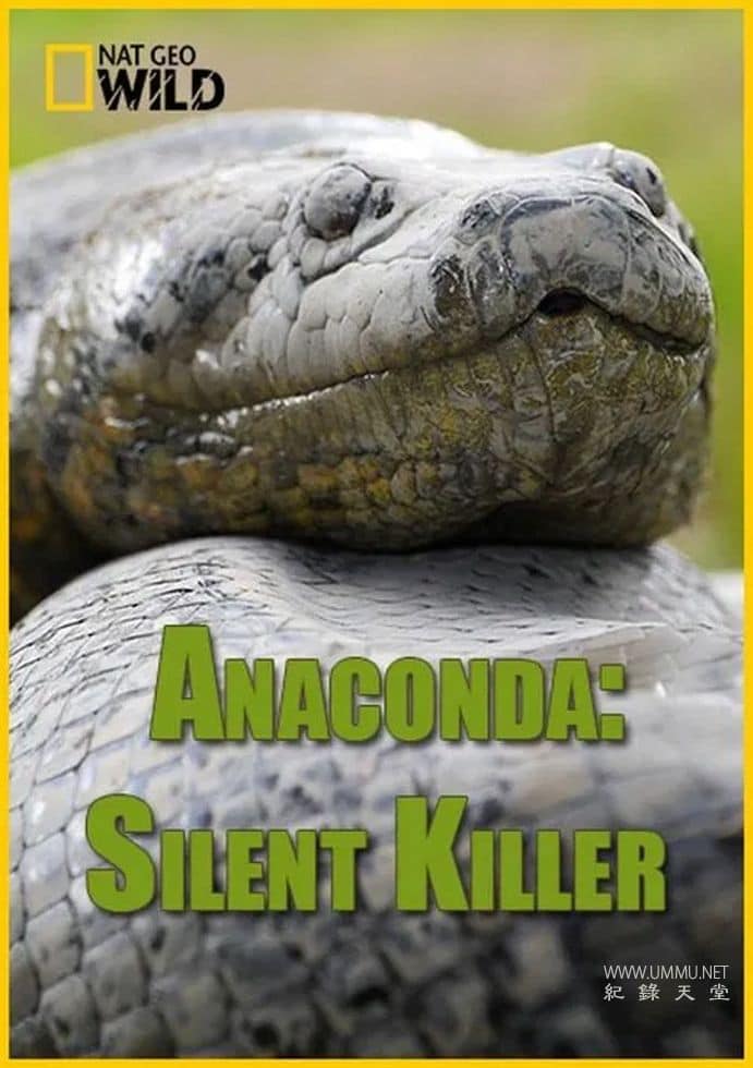 蟒蛇：沉默杀手 Anaconda: Silent Killer的海报