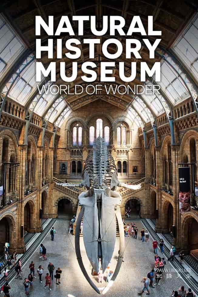 英国自然历史博物馆：神奇世界 Natural History Museum: World of Wonder的海报