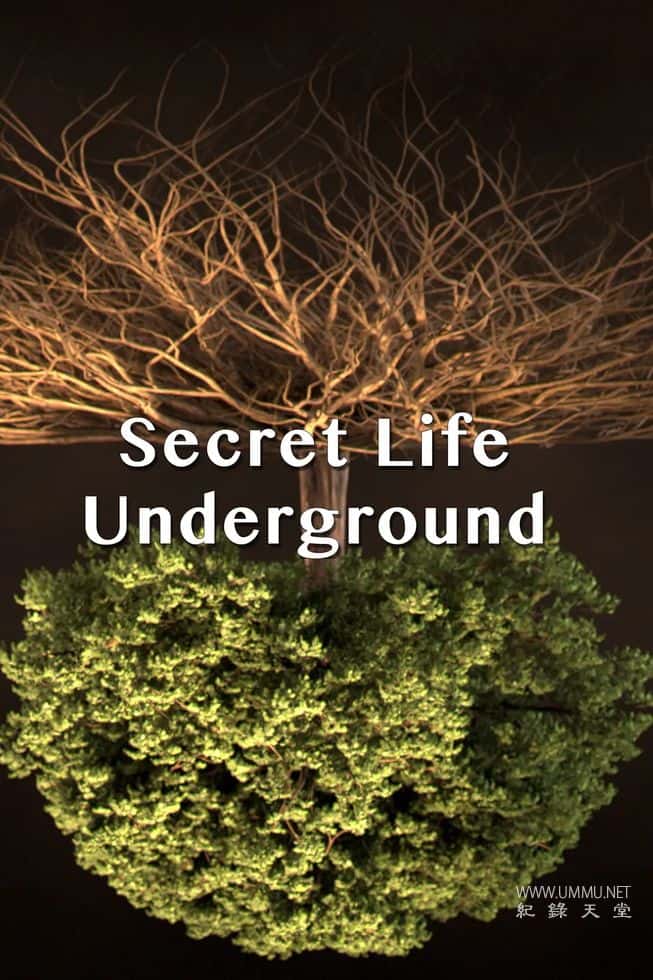 地下的隐秘生命 Secret Life Underground的海报