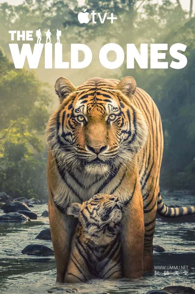 野性生灵 The Wild Ones的海报
