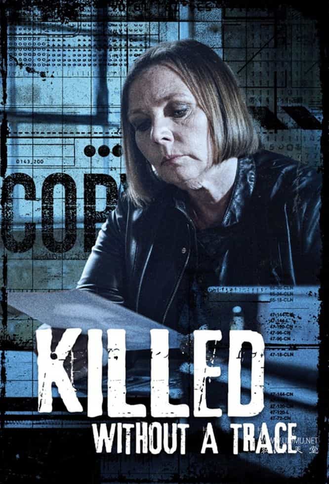 死无对证 Killed Without A Trace的海报