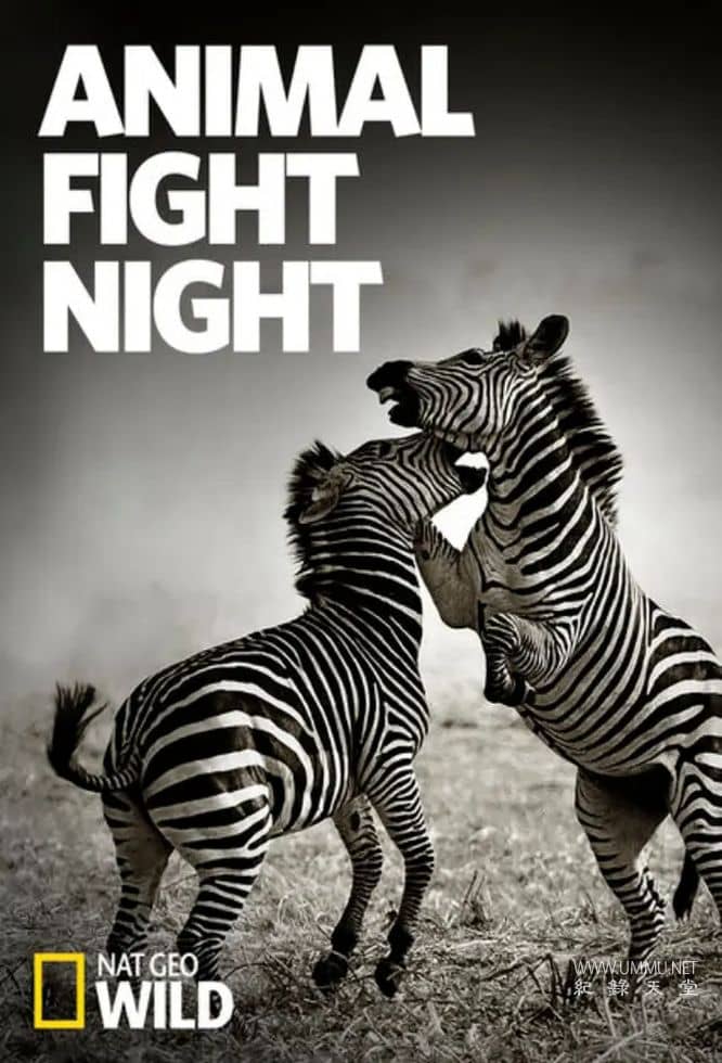 大自然搏击俱乐部 Nature's Fight Club的海报