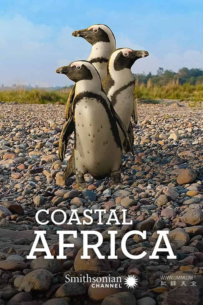 非洲海岸 Coastal Africa的海报