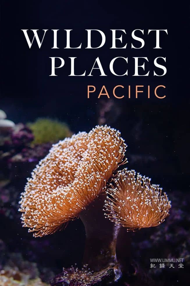 荒蛮之地：太平洋 第二季 Wildest Places: Pacific的海报