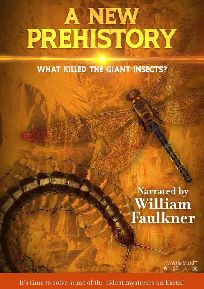 新史前史 A New Prehistory的海报