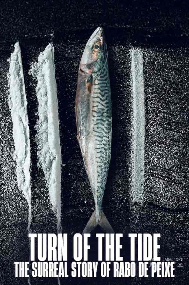 毒海狂涛：鱼尾村离奇事件 Turn of the Tide: The Surreal Story of Rabo de Peixe的海报