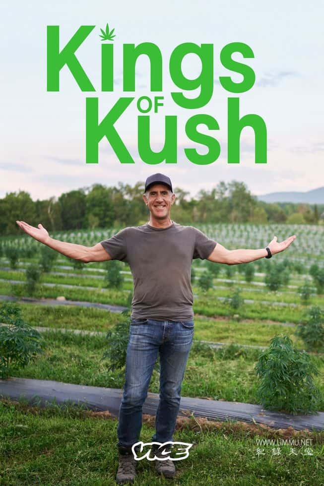 大麻之王 Kings of Kush的海报