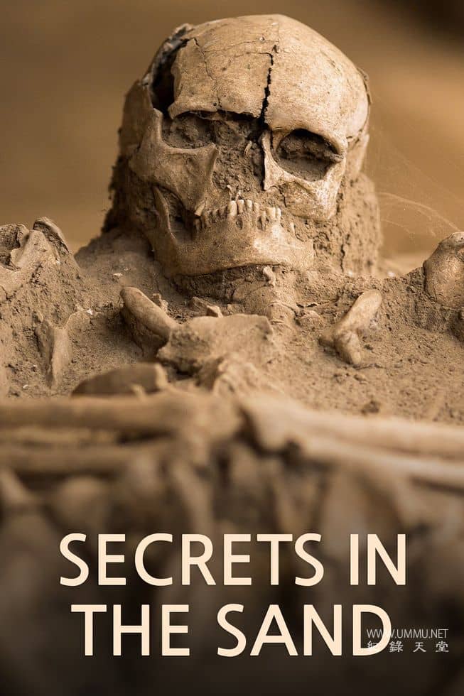 沙中的秘密 Secrets in the Sand的海报