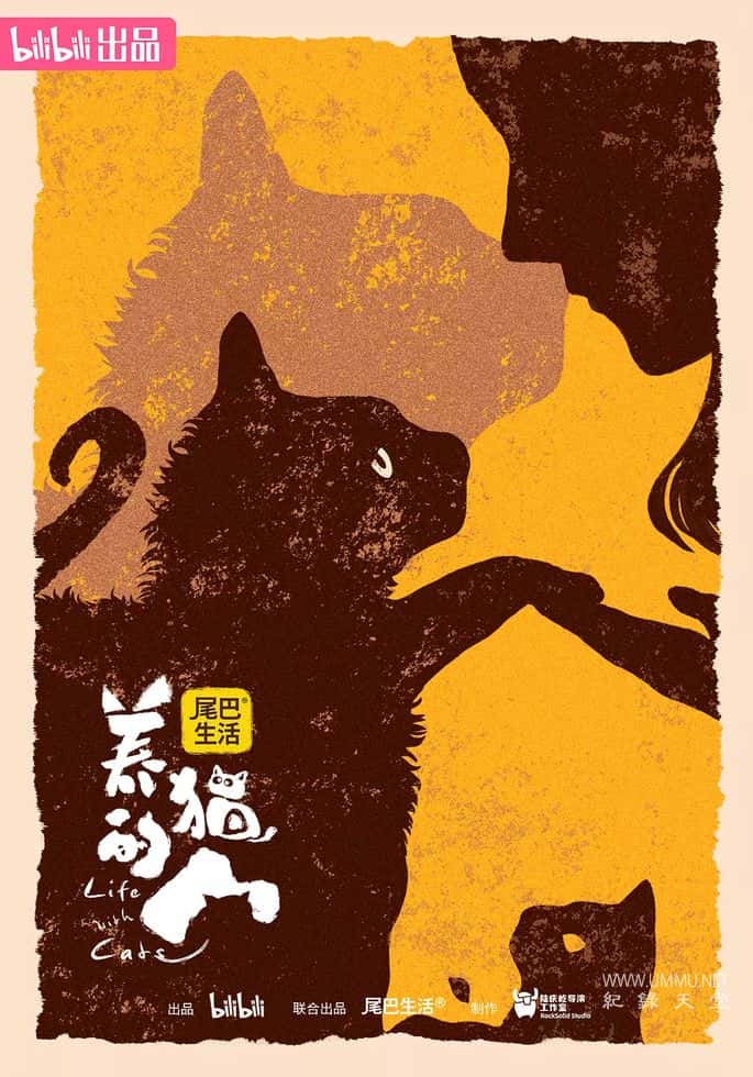 养猫的人 Life with Cats的海报