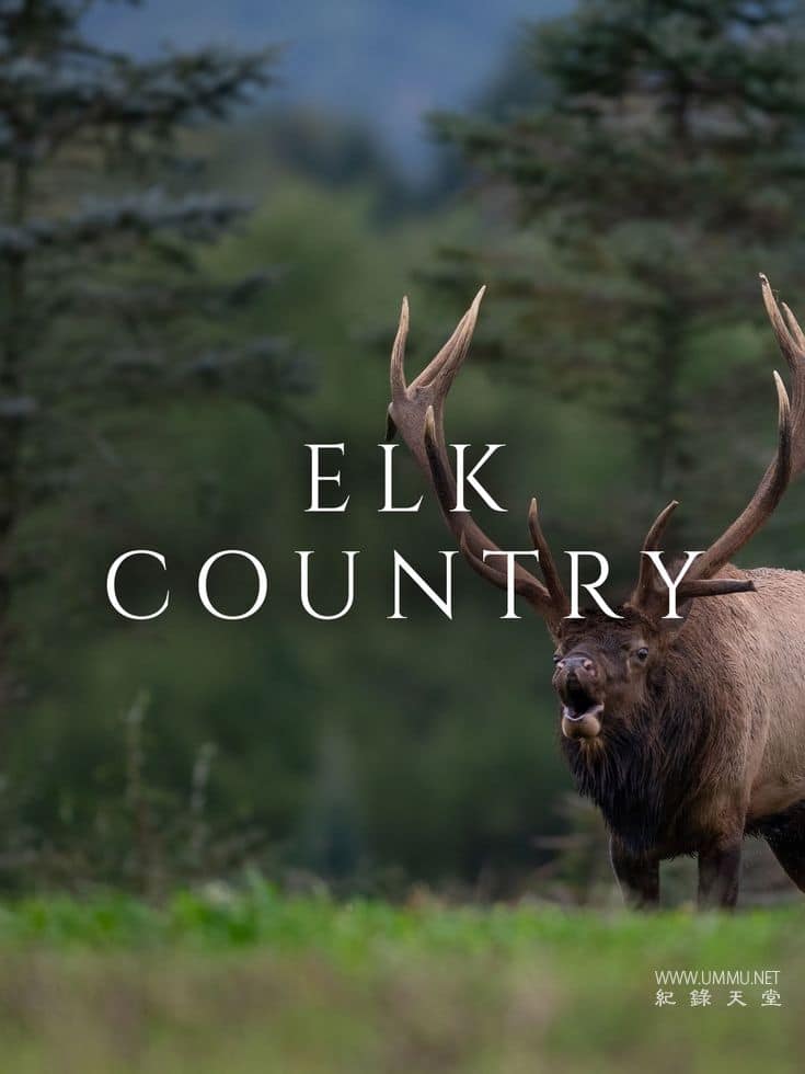 麋鹿国度 Elk Country的海报