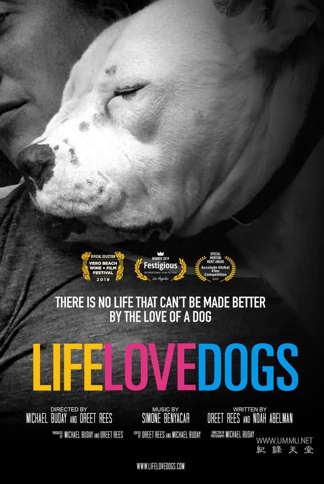 爱狗生活 Life Love Dogs的海报