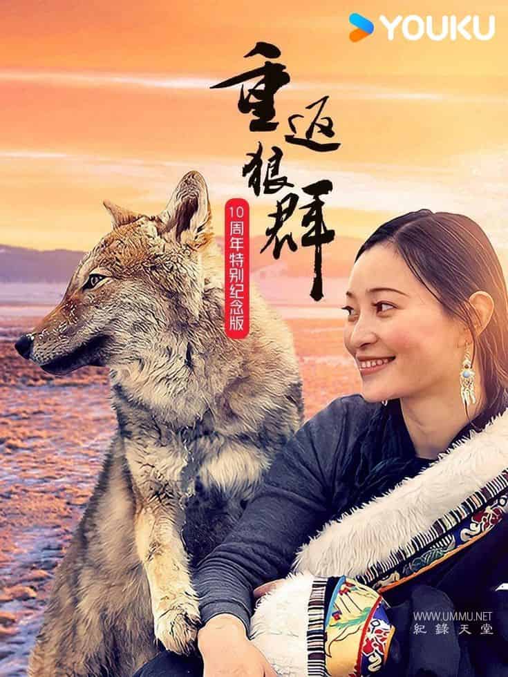 重返狼群 - 10周年特别纪念版 Return to the Wolves 10-Year Anniversary Special的海报