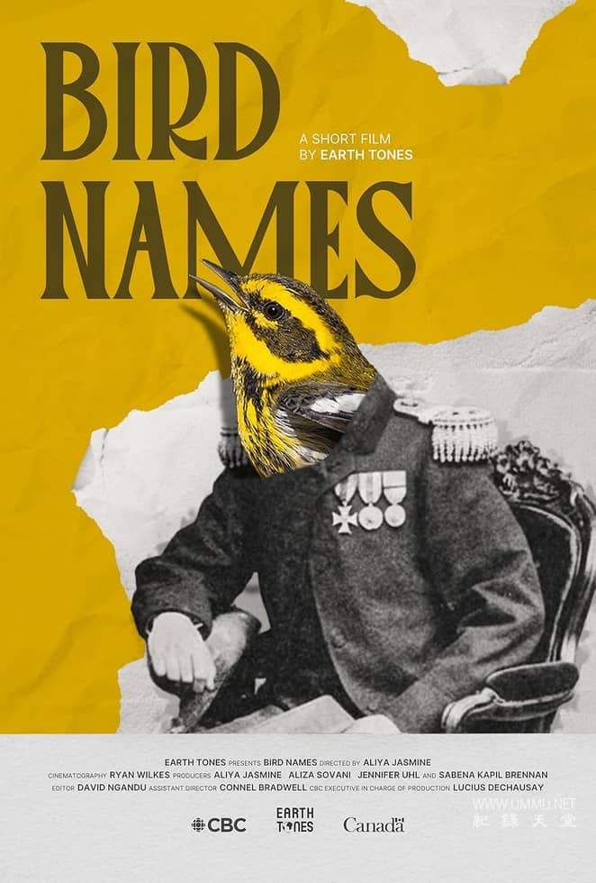 鸟类命名 Bird Names的海报