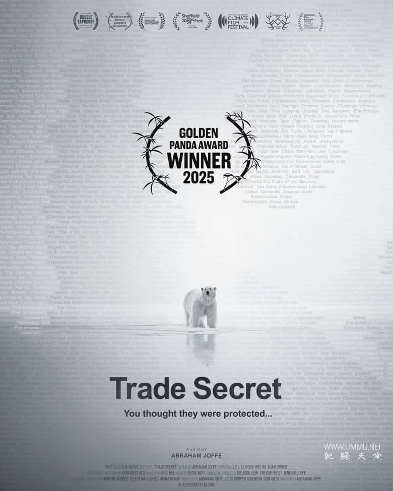 极地贸易内幕：北极熊的代价 Trade Secret的海报