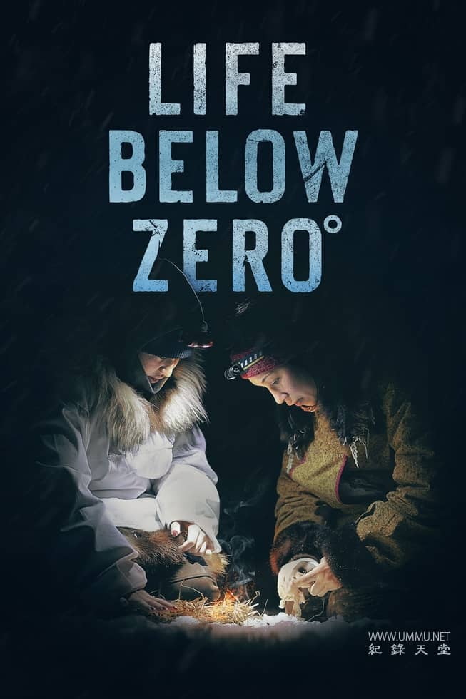 零度以下的生活 第23季全20集 Life Below Zero的海报