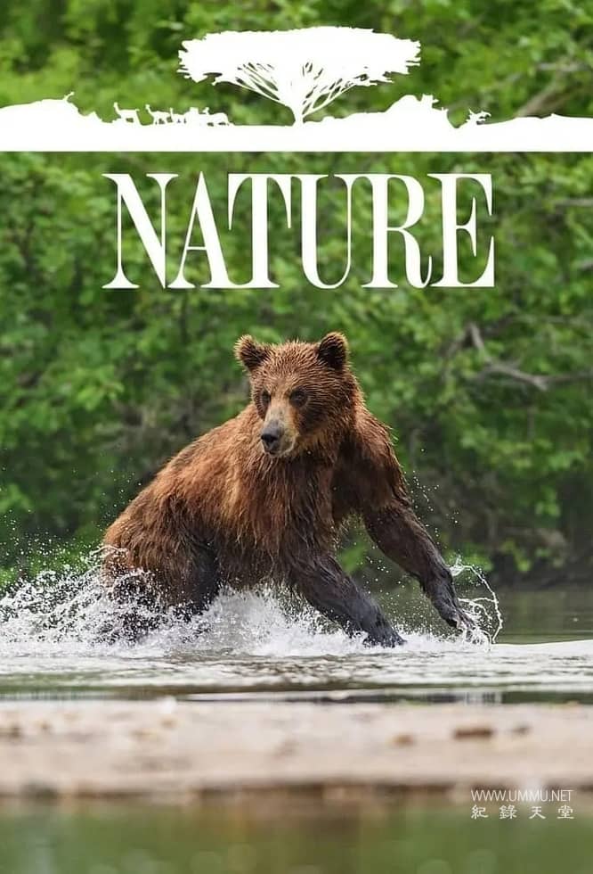 自然 第39-44季全81集 Nature 2020-2026的海报