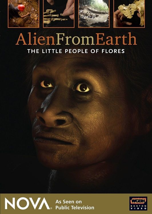 来自地球的外星人：弗洛勒斯岛的小矮人 Alien from Earth: The Little People of Flores的海报