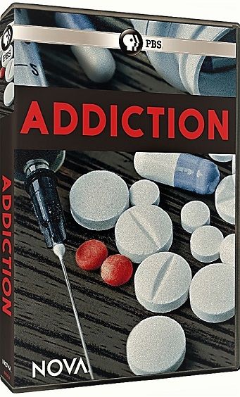 成瘾 Addiction的海报