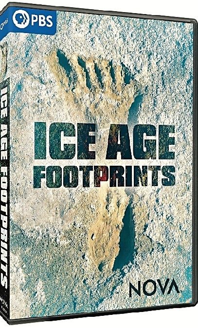 冰河时代的足迹 NOVA: Ice Age Footprints的海报