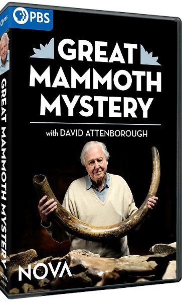 猛犸象之谜 Nova: Series 49 Part 3 Great Mammoth Mystery的海报