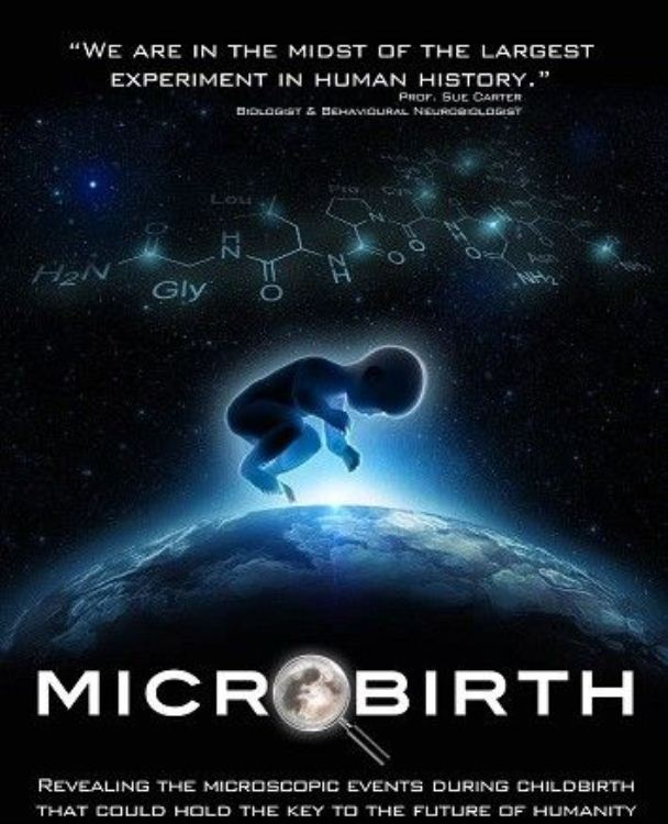 微分娩 Microbirth的海报