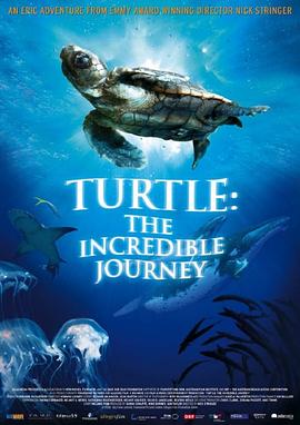 海龟奇妙之旅 Turtle: The Incredible Journey的海报