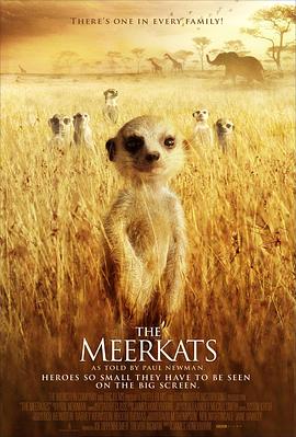 蒙哥 The Meerkats的海报