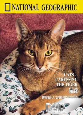 猫谜 National Geographic 100 Years #49 Cats - Caressing The Tiger的海报