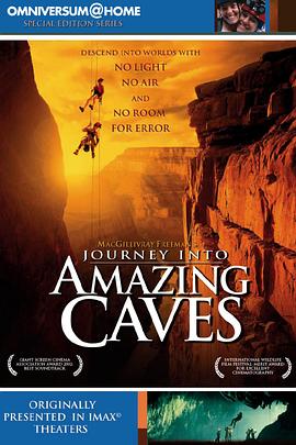 别有洞天 Journey Into Amazing Caves的海报
