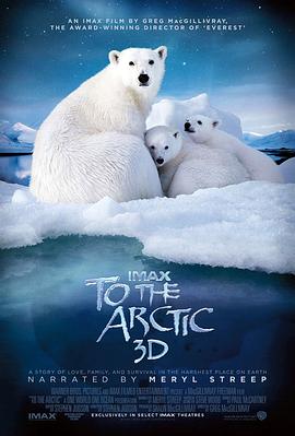 北极 To the Arctic 3D的海报