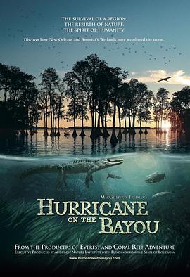 海湾的飓风 Hurricane on the Bayou的海报