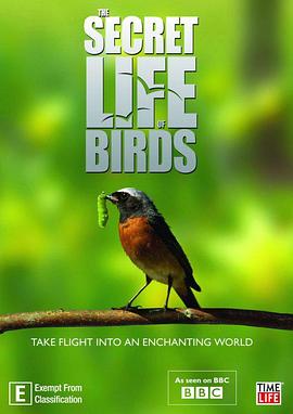 鸟类秘闻 Secret Life of Birds的海报
