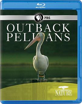 内地鹈鹕 Nature: Outback Pelicans的海报
