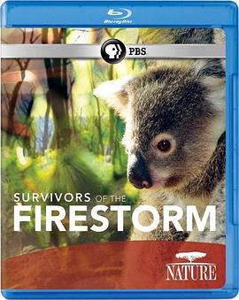 大火幸存者 Nature: Survivors of the Firestorm的海报
