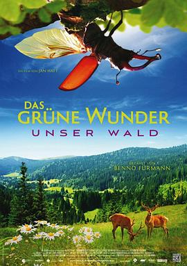 大自然之舞 Das grüne Wunder - Unser Wald的海报