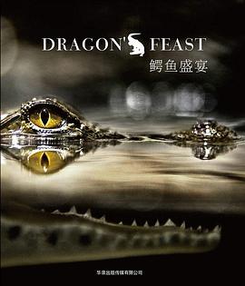 鳄鱼盛宴 Dragon's Feast的海报