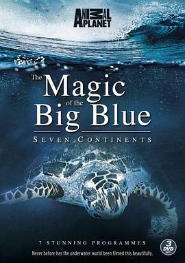 奇幻蔚蓝海 Magic of the Big Blue的海报