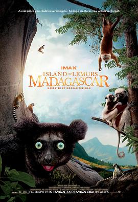 马达加斯加：狐猴之岛 Island of Lemurs: Madagascar的海报