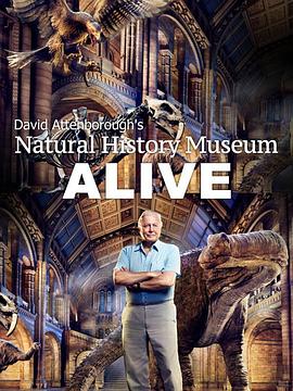爱丁保罗夫爷爷的博物馆奇妙夜 David Attenborough's Natural History Museum Alive的海报
