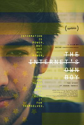 互联网之子 The Internet's Own Boy: The Story of Aaron Swartz的海报
