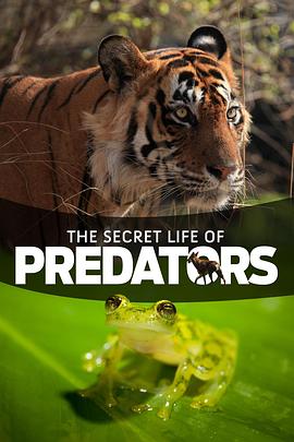 掠食动物生存战 Secret Life of Predators的海报