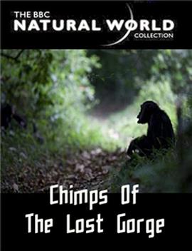 失落峡谷的黑猩猩 The Natural World: Chimps of the Lost Gorge的海报