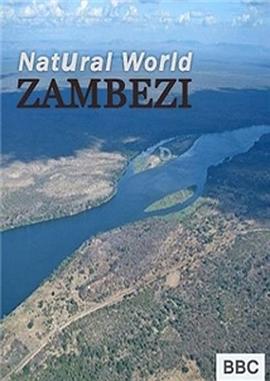 自然世界：赞比西河 Natural World: Zambezi的海报