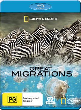 大迁徙 Great Migrations的海报