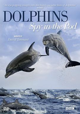 卧底海豚帮 Dolphins - Spy in the Pod的海报