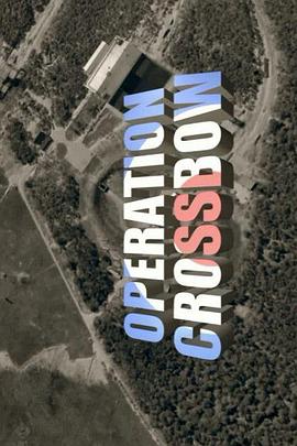 十字弓行动 Operation Crossbow的海报