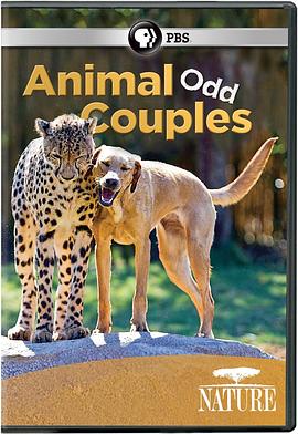 奇特的动物伙伴 Animal Odd Couples的海报